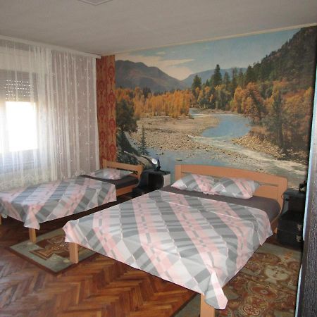 Apartman Milena Kladovo Kültér fotó